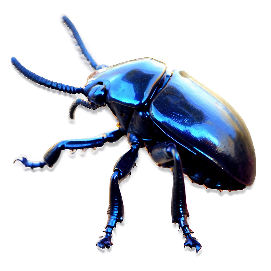 Horn Beetle Png Pvq