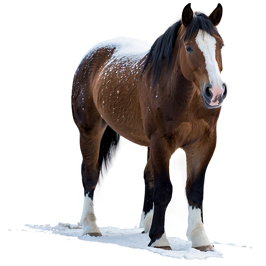 Horse In Snow Png Uyr76