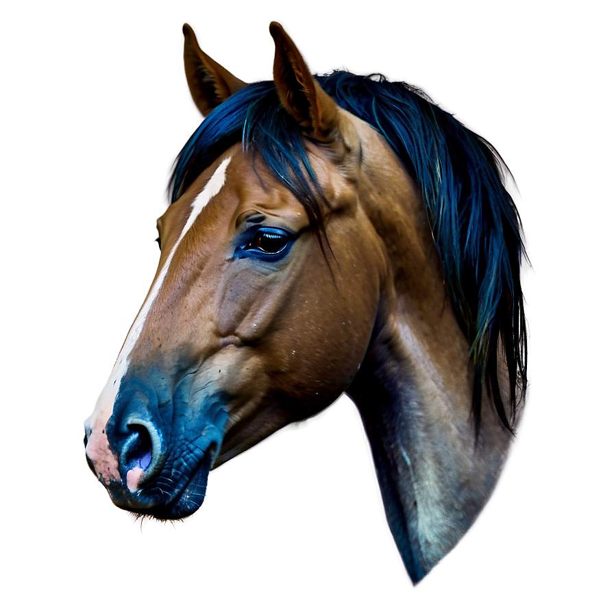 Horse Mane Beauty Shots Png 63