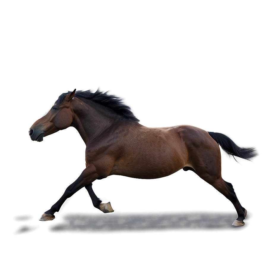 Horse Running Towards Horizon Png Kmh33