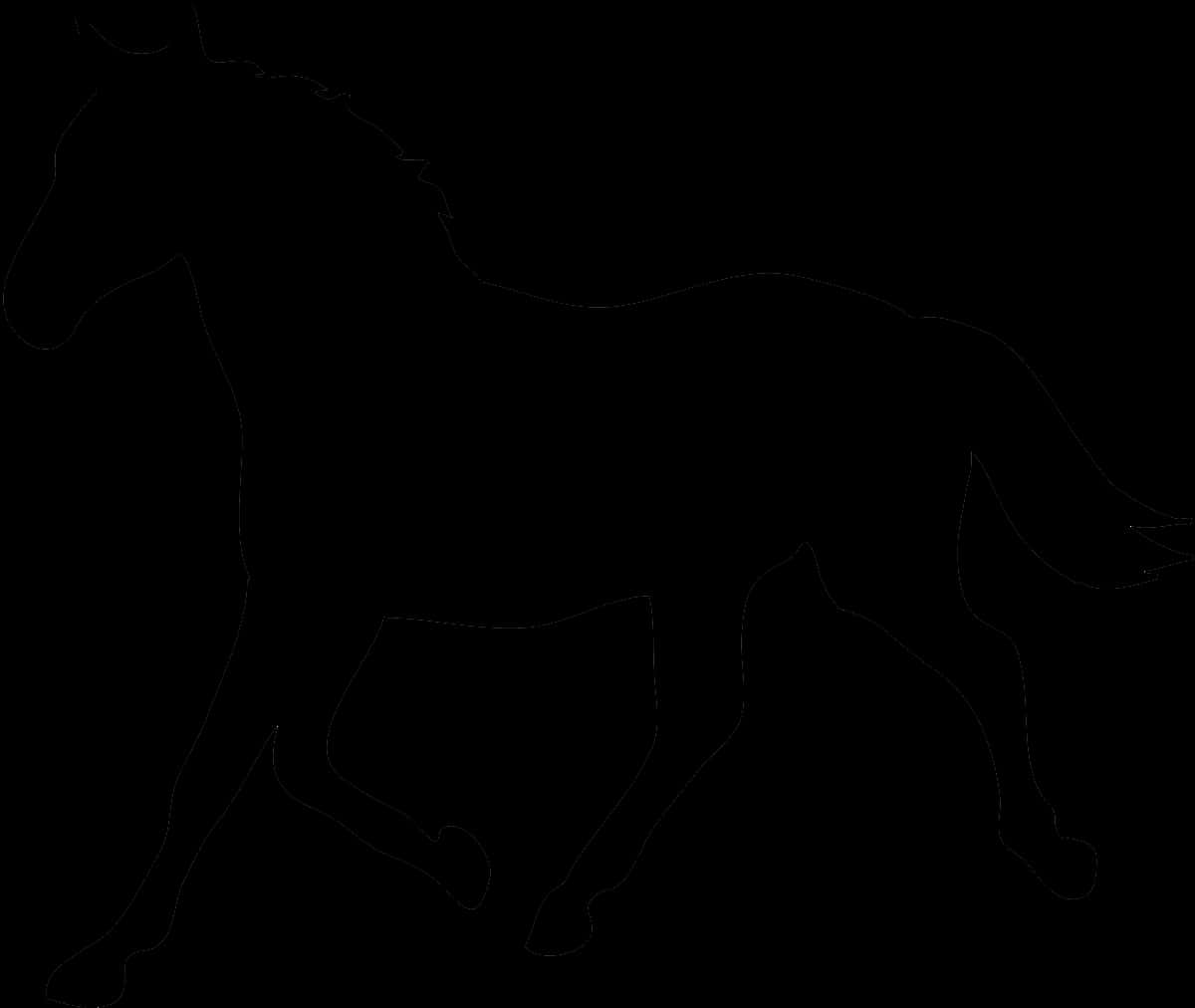 Horse Silhouette Black Background