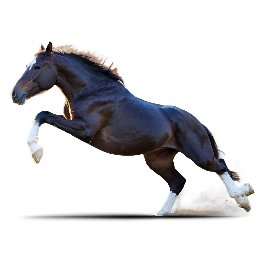 Horse Sprinting Full Speed Png Pxe