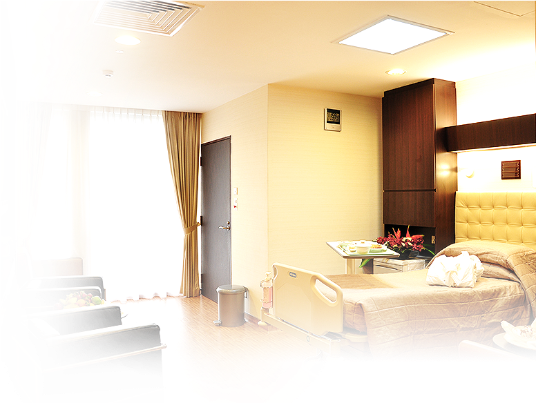 Hospital Private Room Luxury Interior