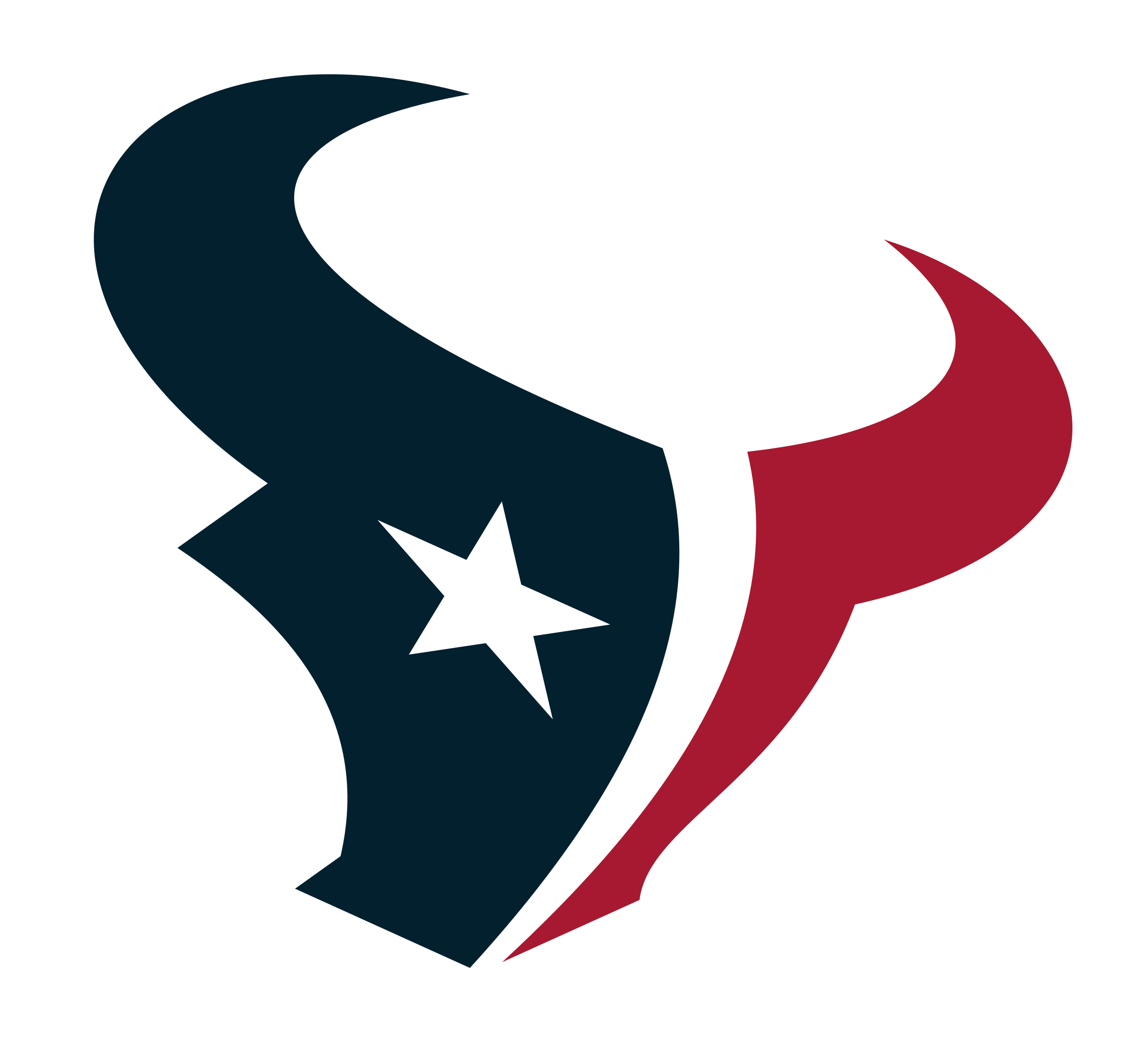 Houston Texans Logo