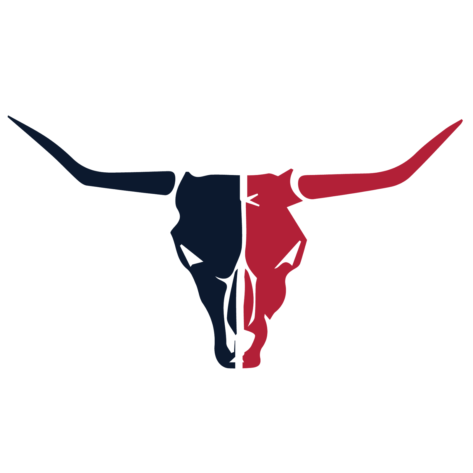 Houston Texans Logo Graphic