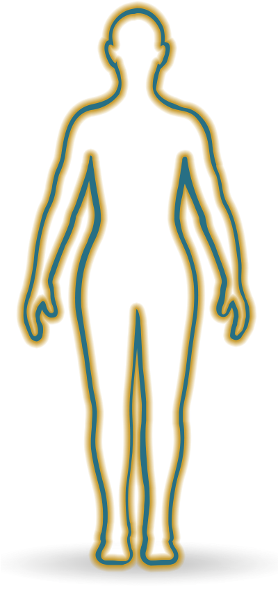 Human Body Outline Illustration