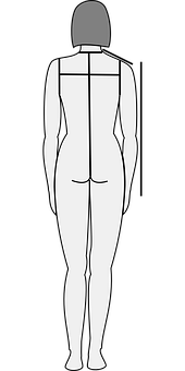 Human Body Silhouette Back View