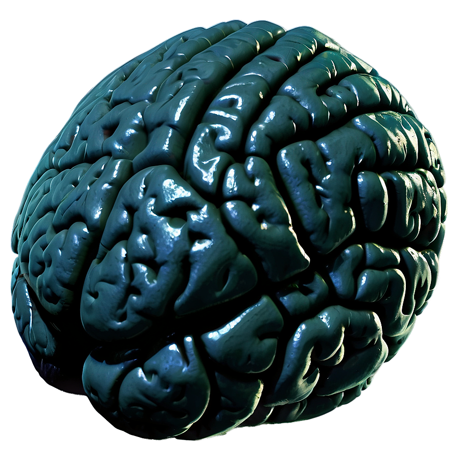 Human Brain And Exercise Png Lvh80