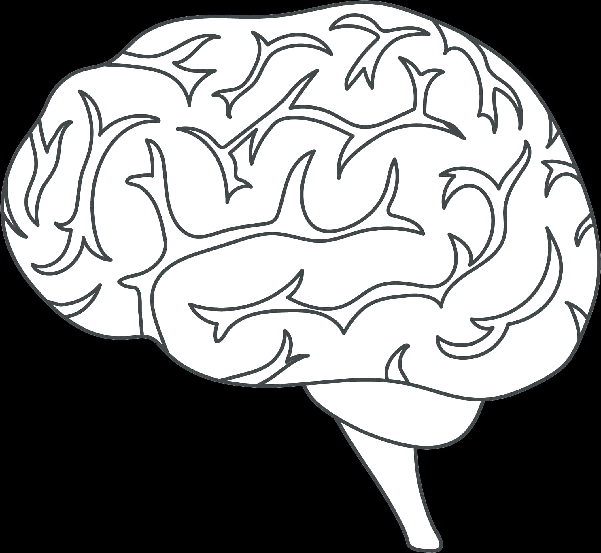 Human Brain Illustration