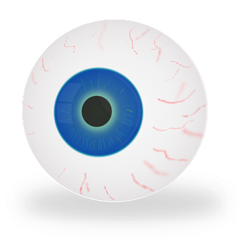 Human Eye Illustration