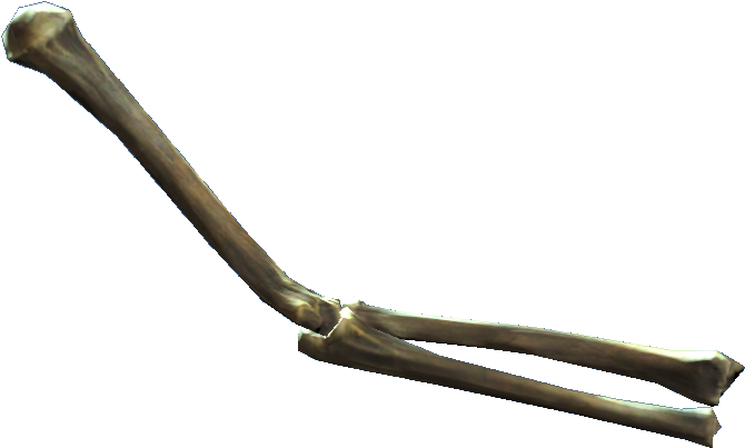 Human Femur Bone3 D Render