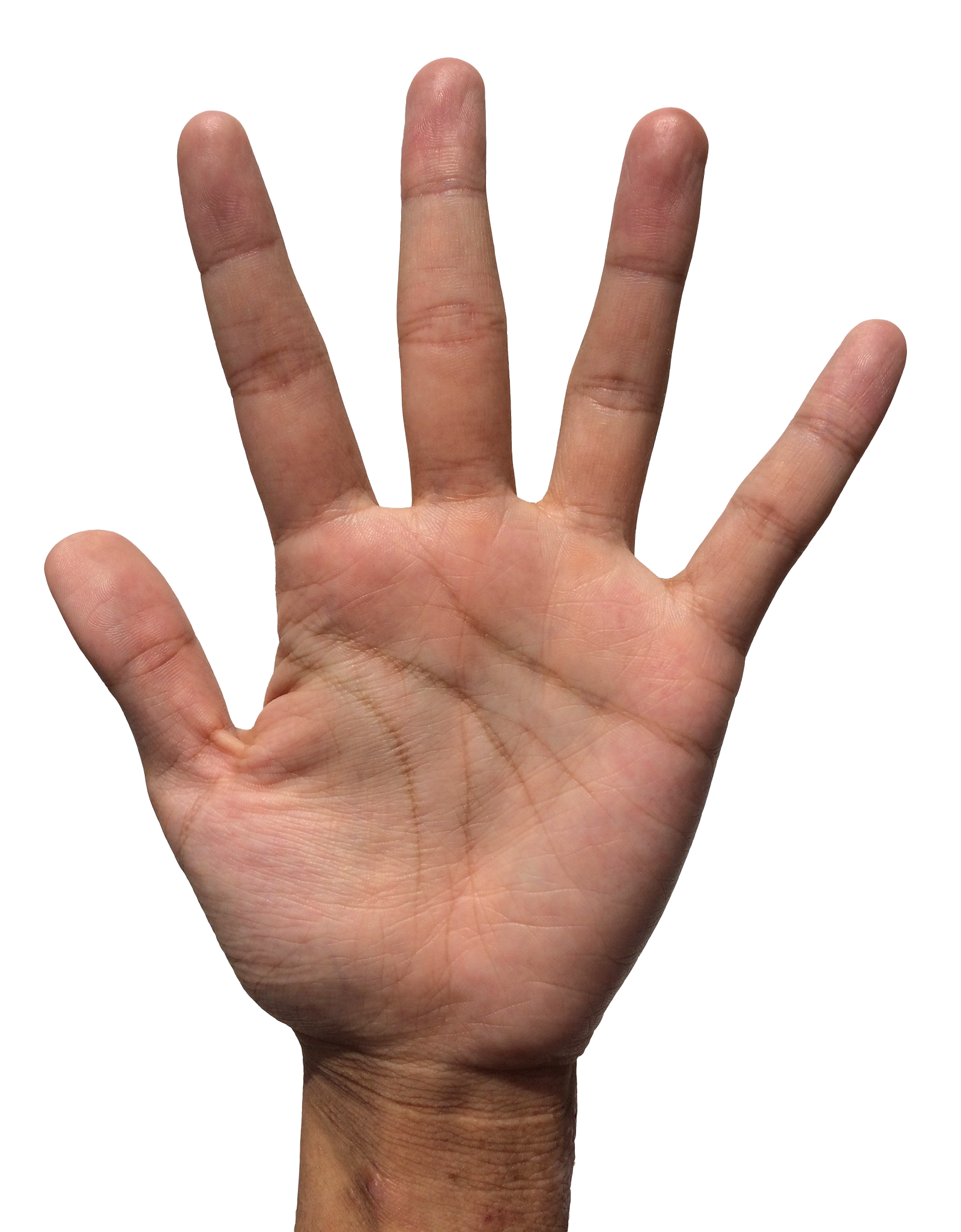 Human Hand Open Palm Fingers Spread