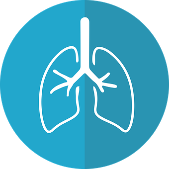 Human Lungs Icon