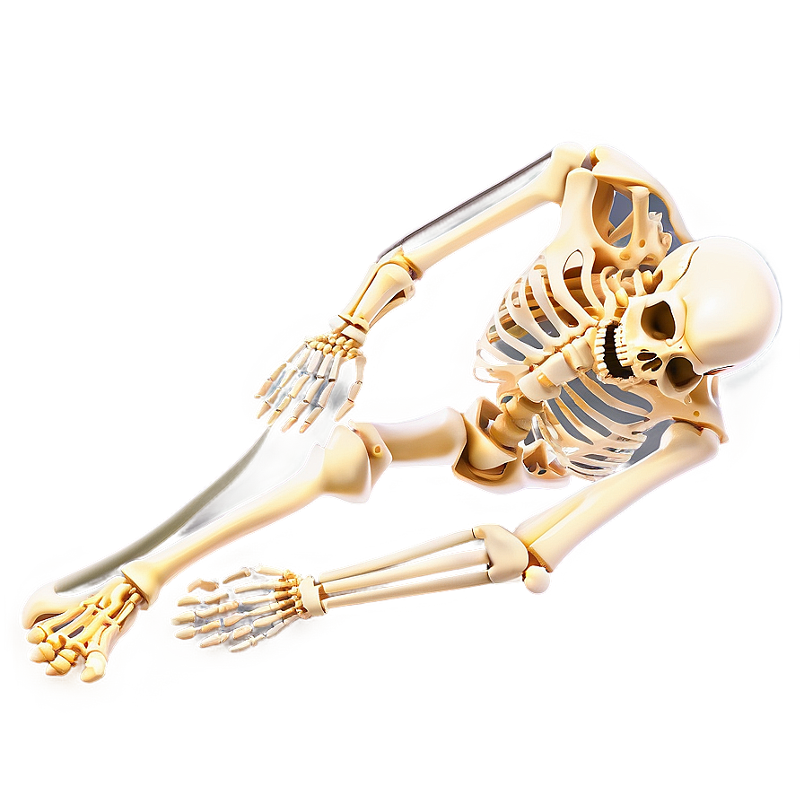 Human Skeleton In Motion Png Nej