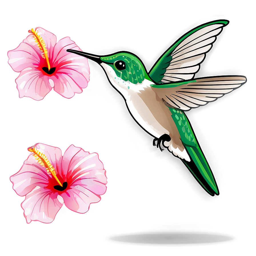 Hummingbird And Hibiscus Png 5