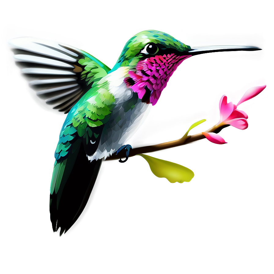 Hummingbird Vector Graphic Png 6