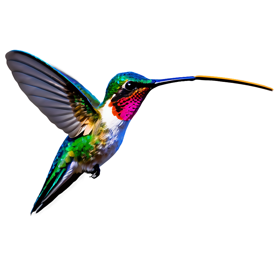 Hummingbird With Nature Background Png Mjq