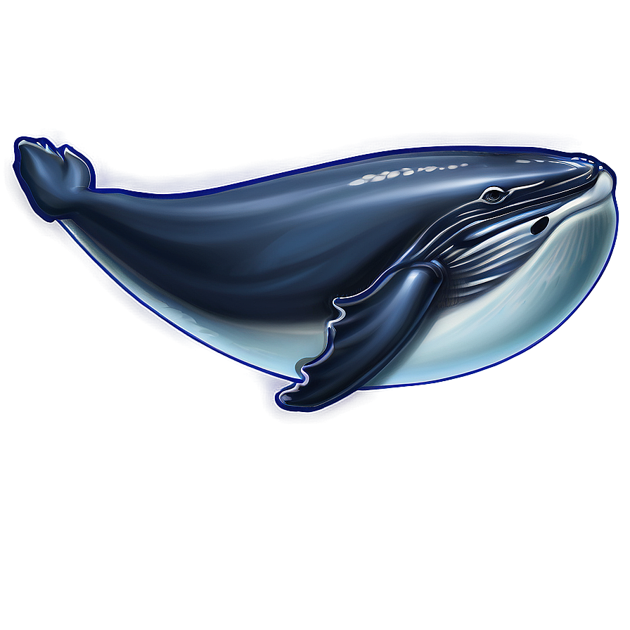 Humpback Whale Environmental Icon Png 63