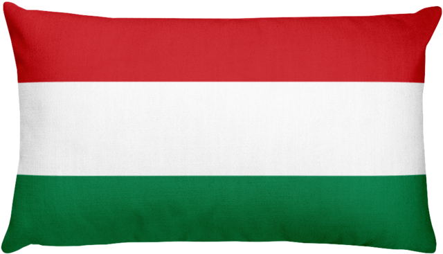 Hungarian Flag Pillow.jpg