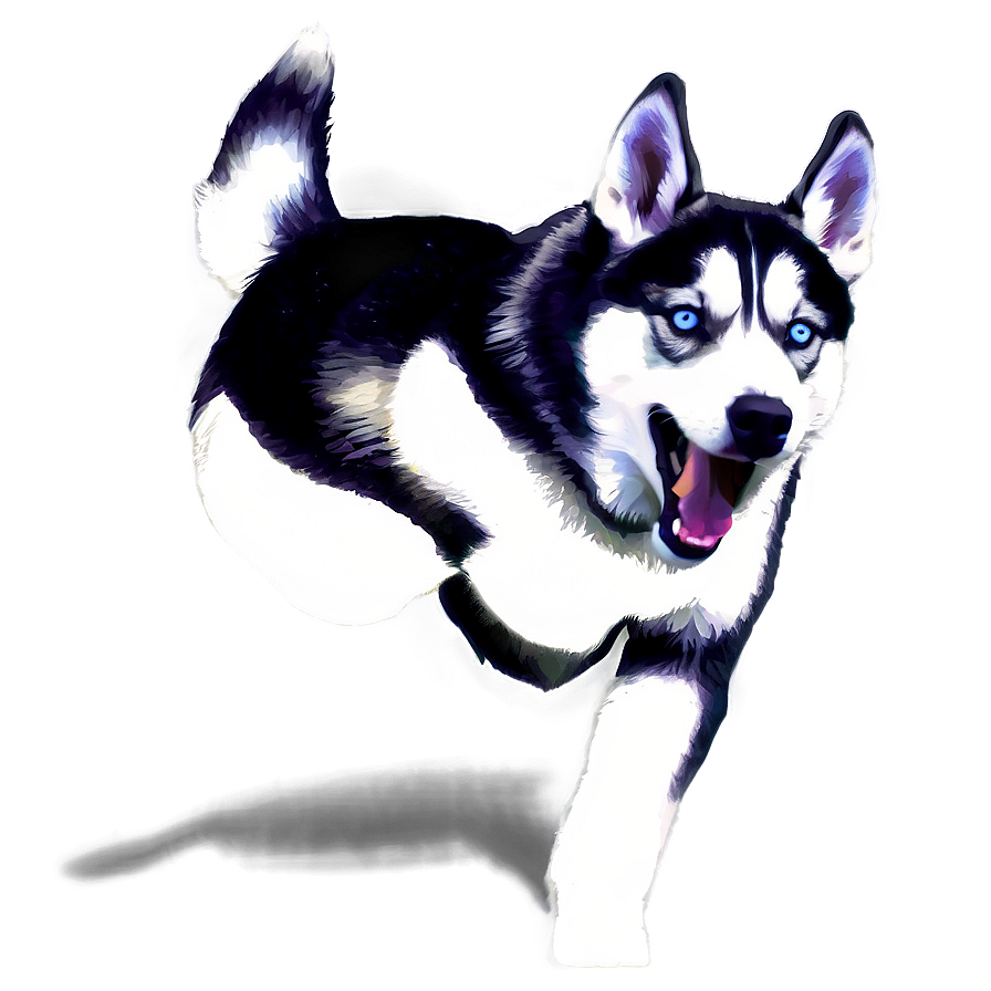 Husky Dog Running Png 06132024