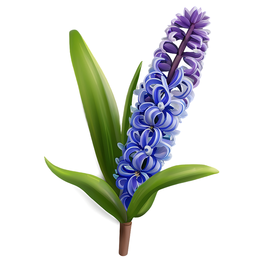 Hyacinth Flower Illustration Png 44