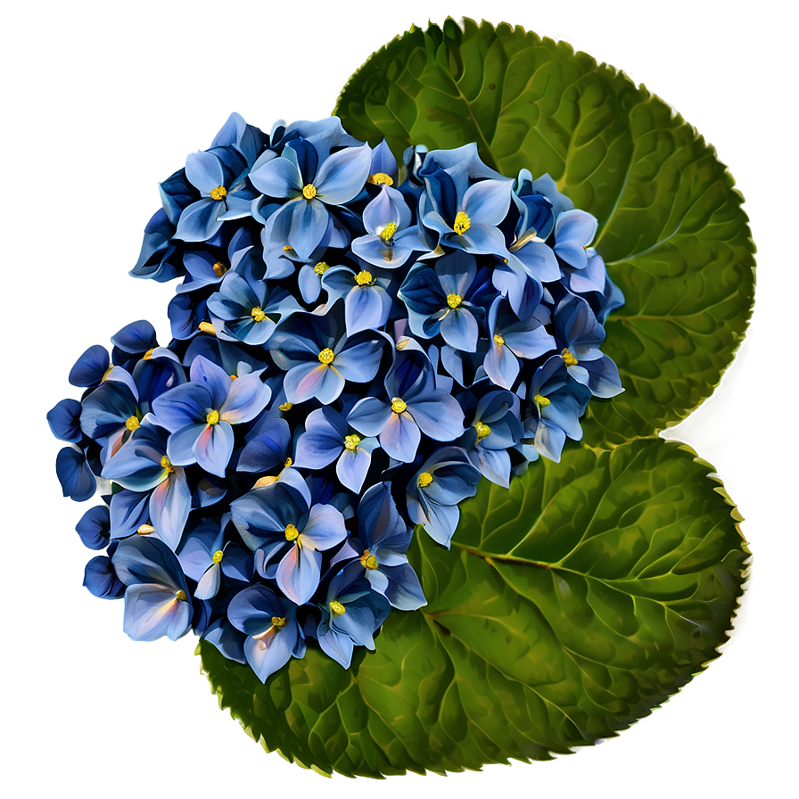 Hydrangea Pattern Png Ebp72