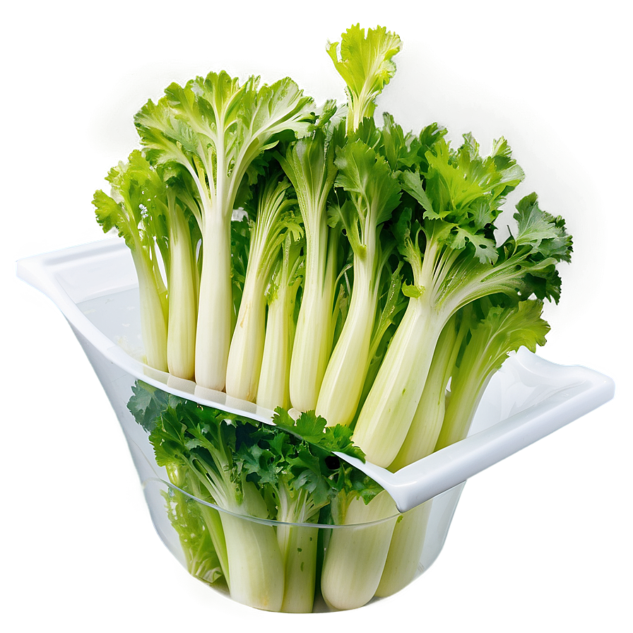 Hydroponic Celery Png Nau