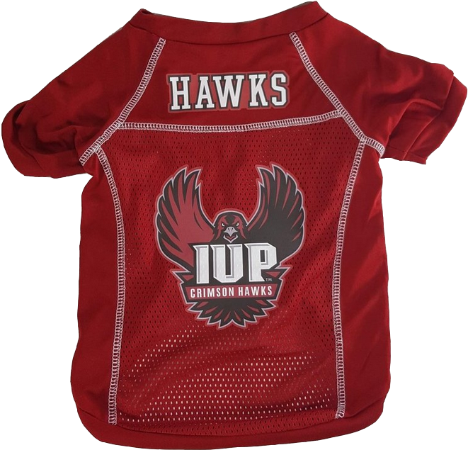 I U P Crimson Hawks Red Jersey