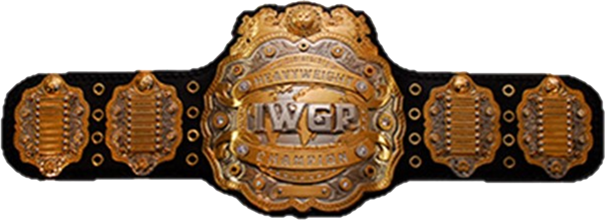 I W G P Heavyweight Championship Belt