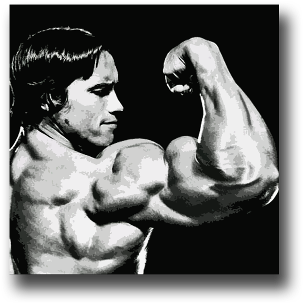 Iconic Muscle Display Arnold