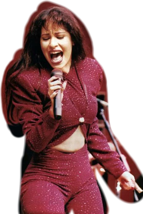 Iconic Performance Singer Stage Outfit