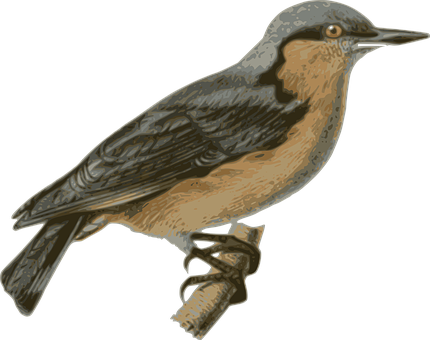 Illustrated Brown Bird Perched