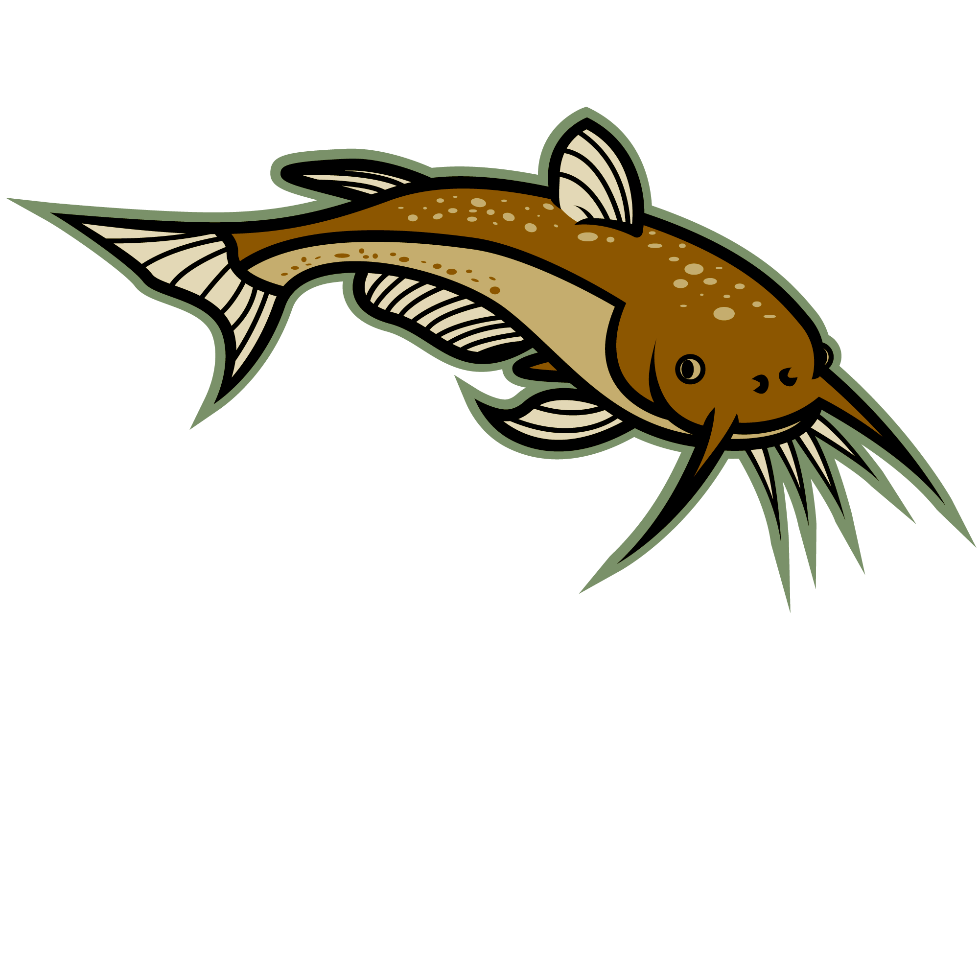 Illustrated Brown Catfish Graphic