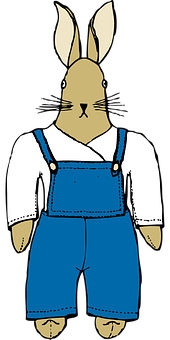 Illustrated Bunnyin Overalls