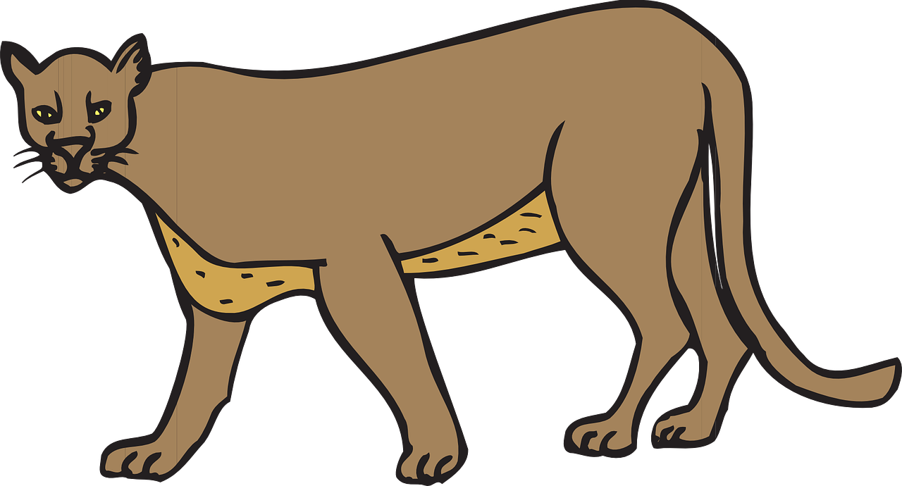 Illustrated Cougar Walking