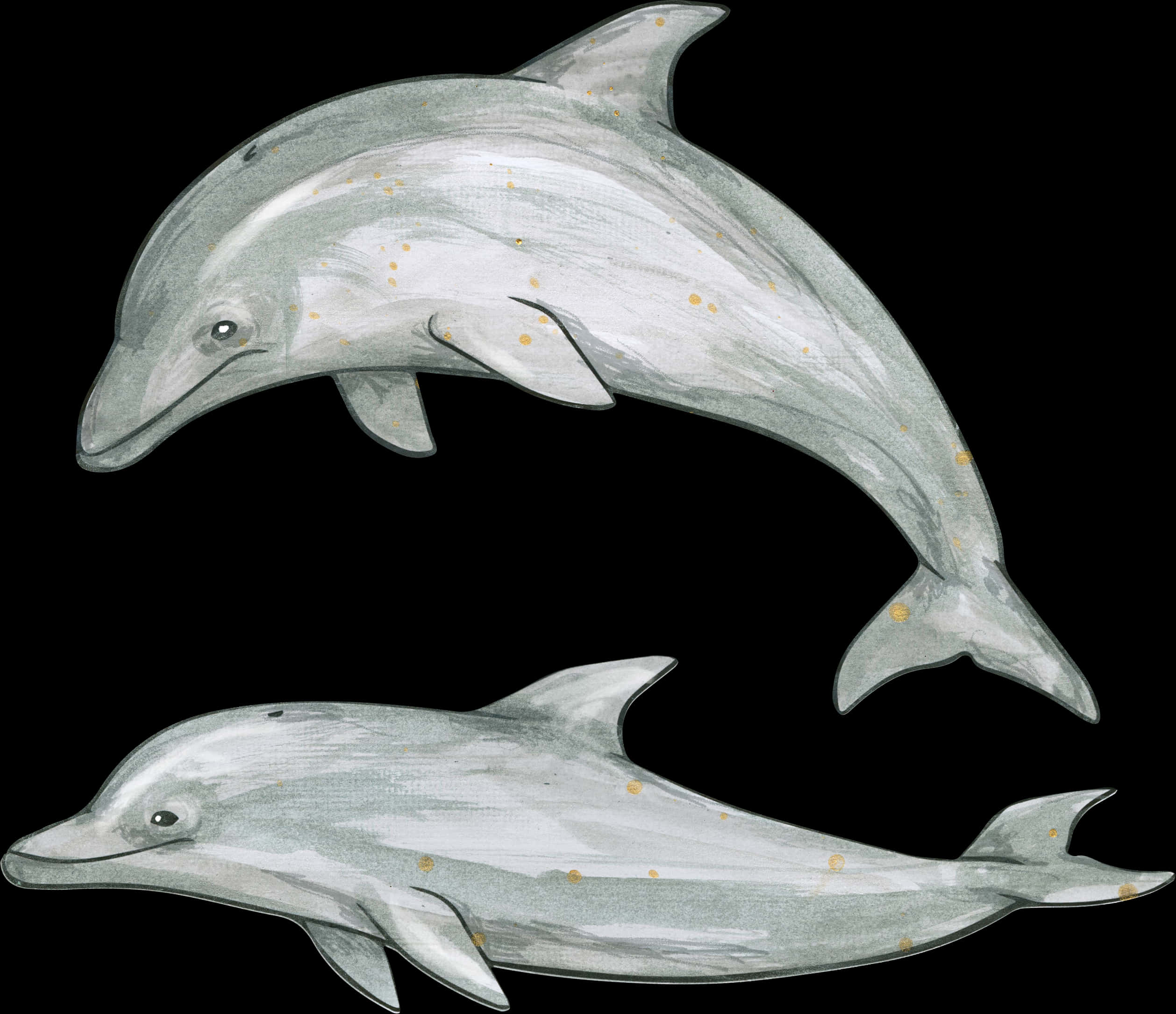 Illustrated Dolphins Artwork