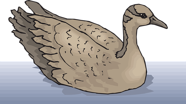 Illustrated Duckon Water