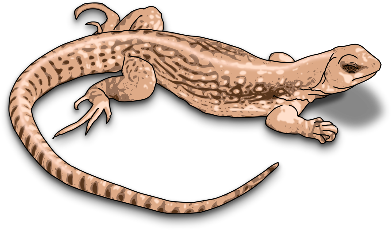 Illustrated Geckoon Blue Background.png