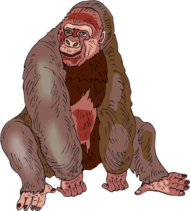 Illustrated_ Gorilla_ Portrait