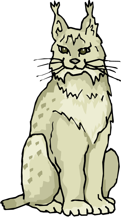 Illustrated Lynx Sitting