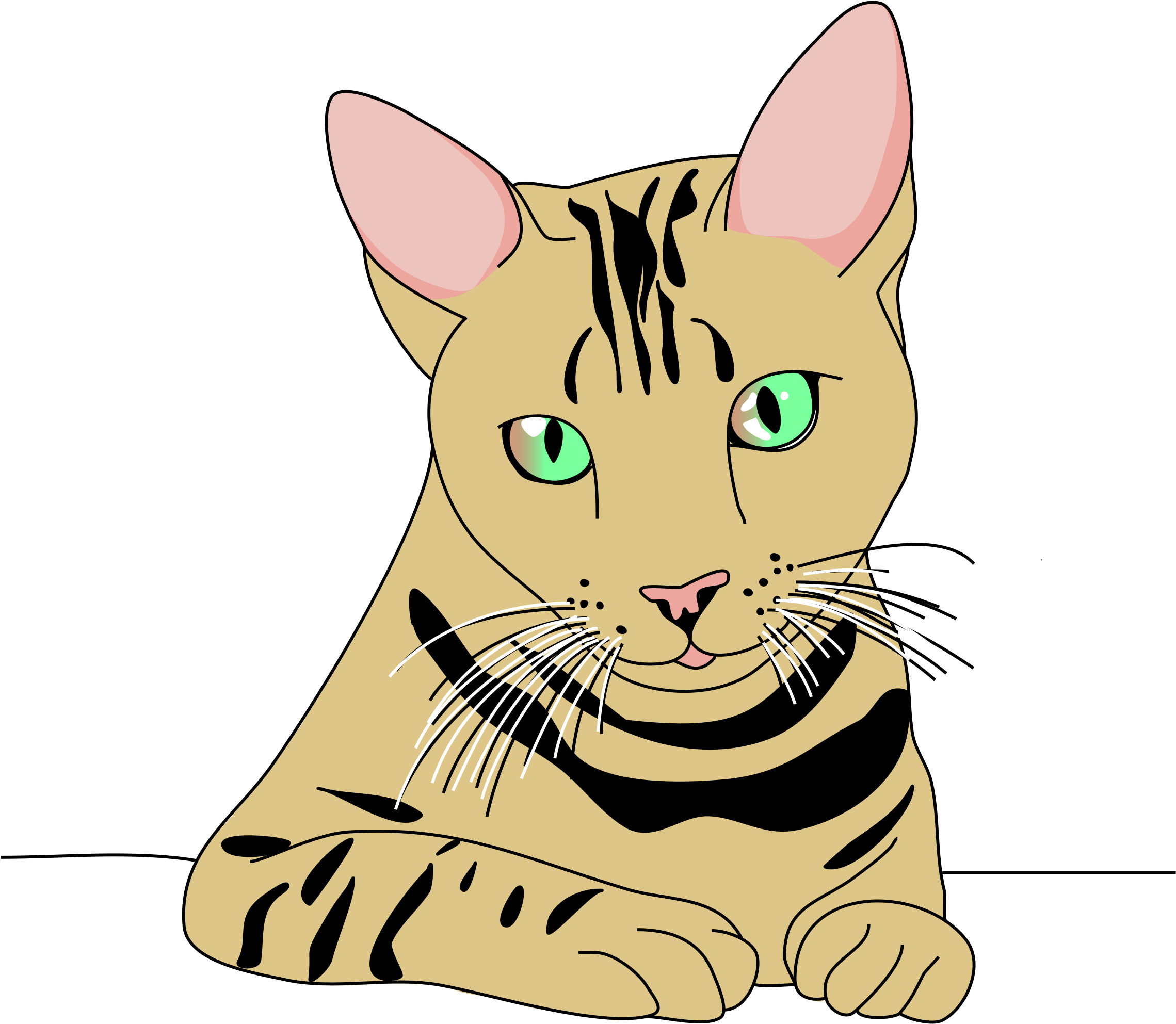 Illustrated Tabby Cat Graphic