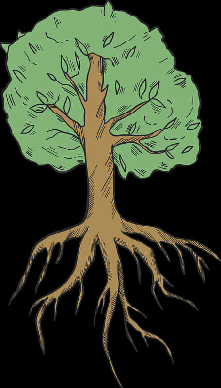 Illustrated Treewith Visible Roots