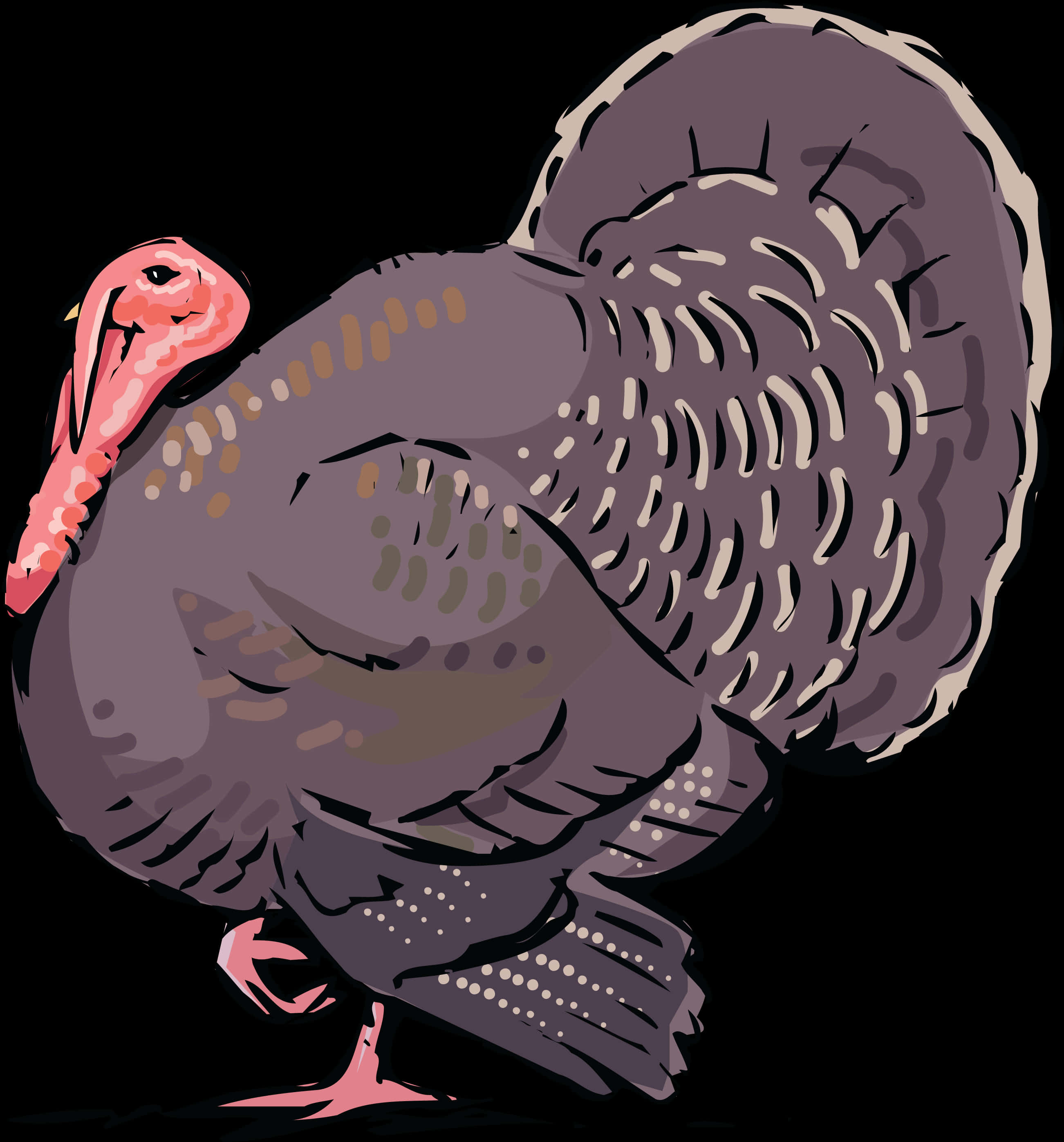 Illustrated Turkey Bird