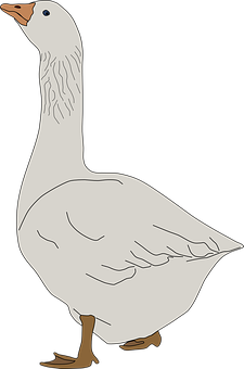 Illustrated White Goose