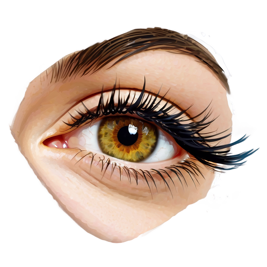 Individual Eyelash Extensions Png 06272024