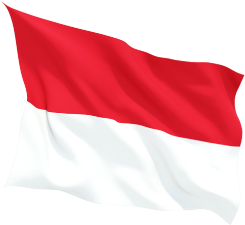 Indonesian Flag Waving