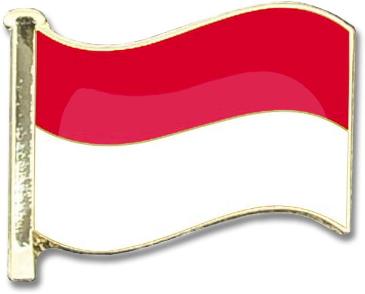 Indonesian Flag Waving Pin