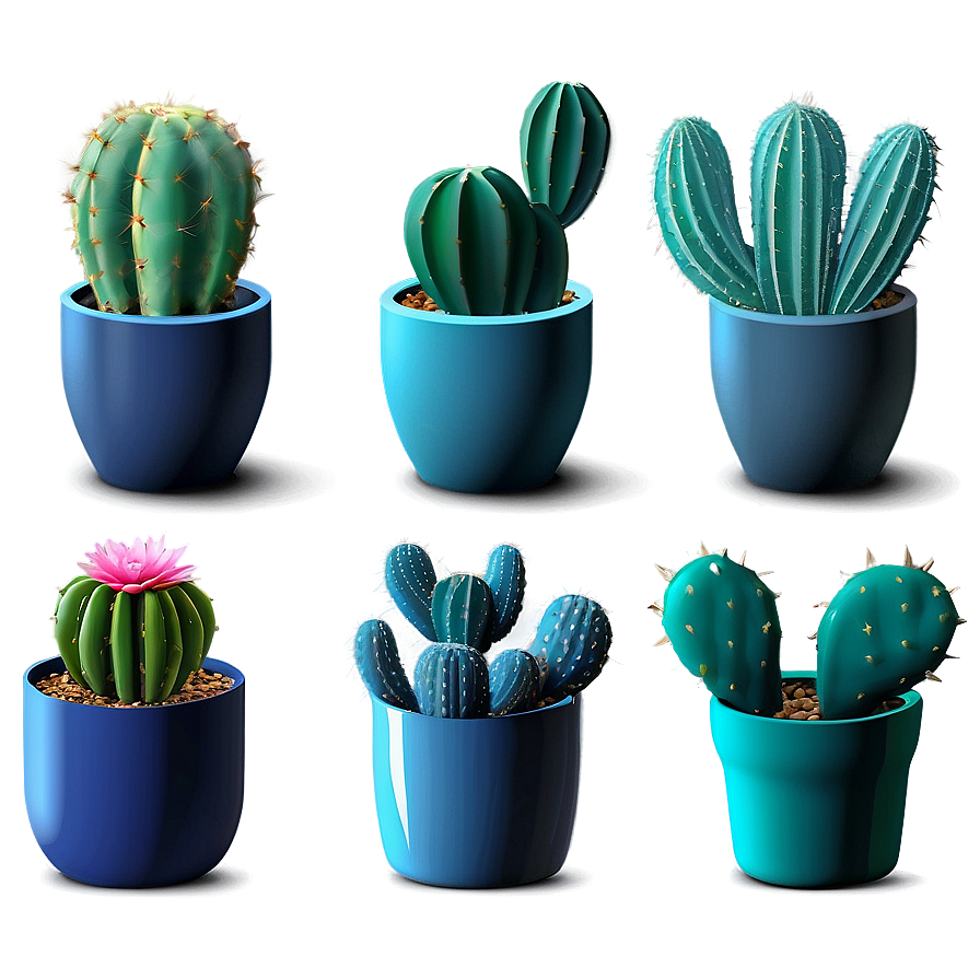 Indoor Cactus Collection Png 36