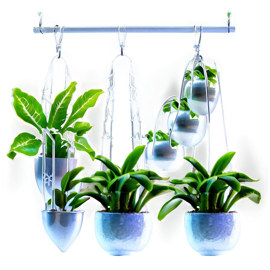 Indoor Hanging Plant Png 05252024