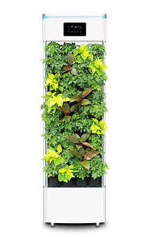 Indoor Hydroponic Vertical Garden System